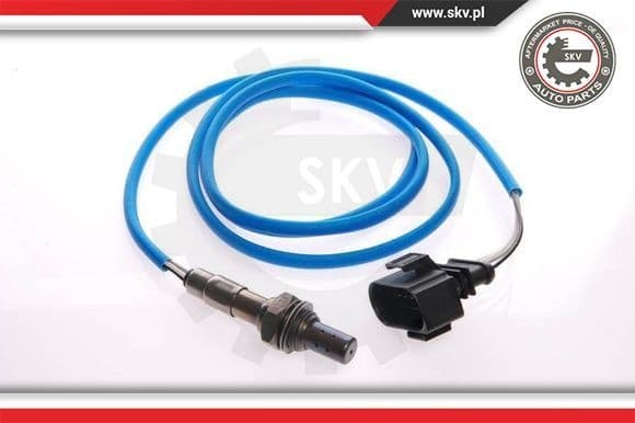 Oxygen Sensor 09SKV079