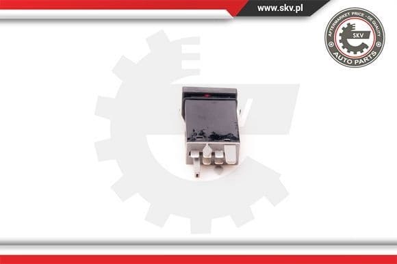 Hazard Warning Light Switch 36SKV703