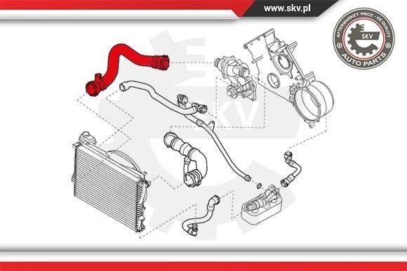 Radiator Hose 24SKV251 - image 4