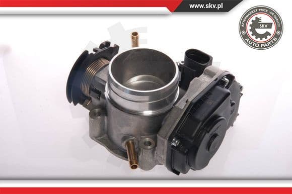 Throttle Body 12SKV020