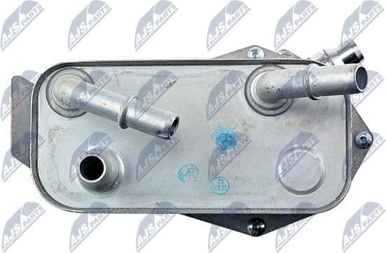 CCL-BM-013 - image 3