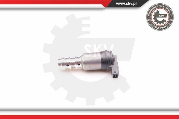 Control Valve, camshaft adjustment 39SKV013