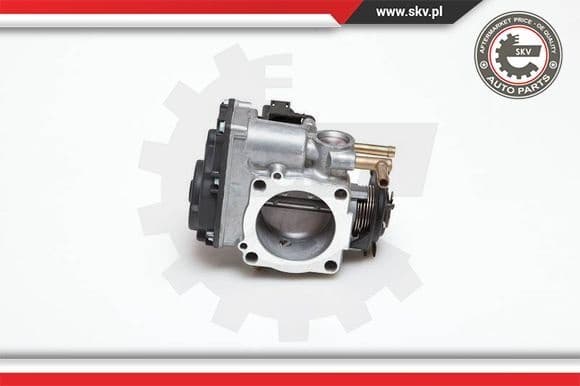 Throttle Body 12SKV009