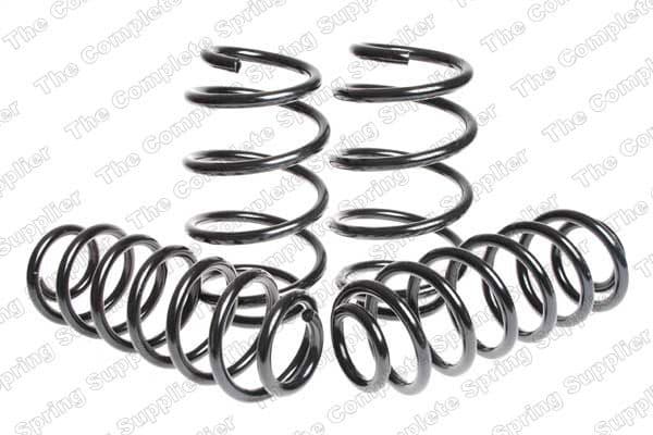 Suspension Set, springs 4582927