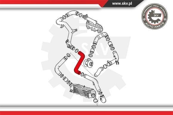 Charge Air Hose 24SKV184 - image 4
