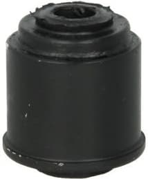 Mounting, differential 00396797