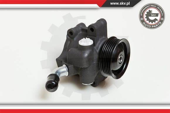 Hydraulic Pump, steering 10SKV035