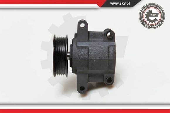 Hydraulic Pump, steering 10SKV035 - image 2