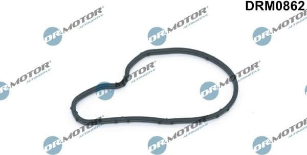 Gasket, vacuum pump DRM0862