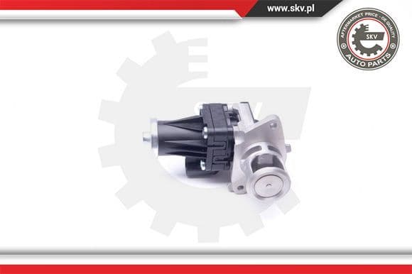 EGR Valve 14SKV159