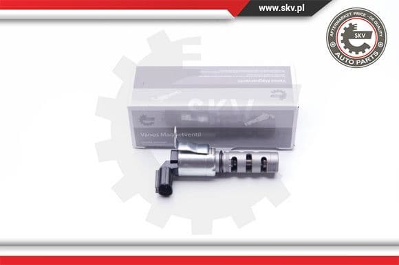 Control Valve, camshaft adjustment 39SKV033