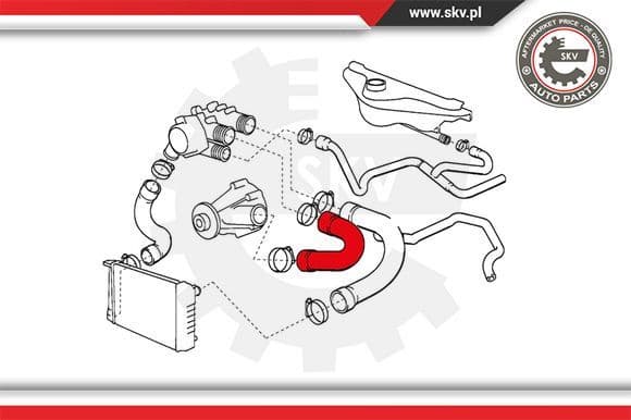 Radiator Hose 24SKV264 - image 4