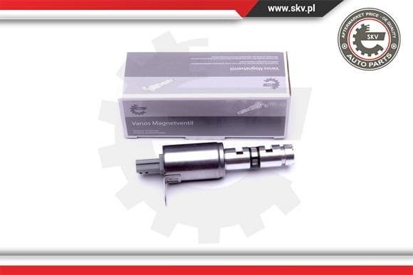 Control Valve, camshaft adjustment 39SKV053