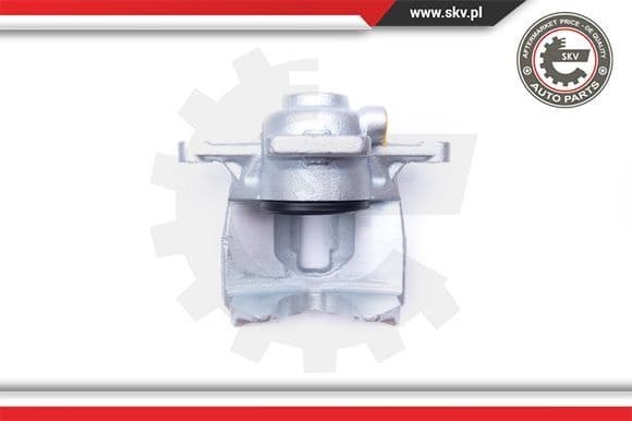 Brake Caliper 42SKV362