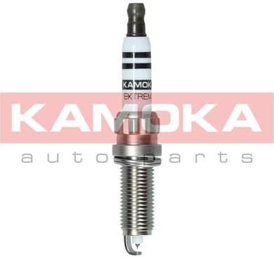 Spark plug 7090014