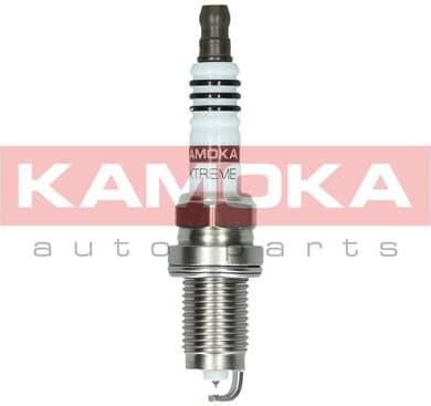 Spark Plug 7100028