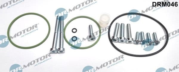 Repair Set, vacuum pump (braking system) DRM046