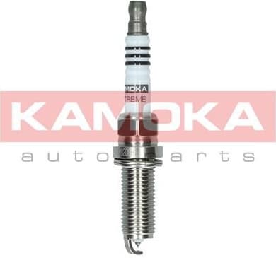 Spark Plug 7100049