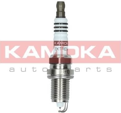 Spark Plug 7100040