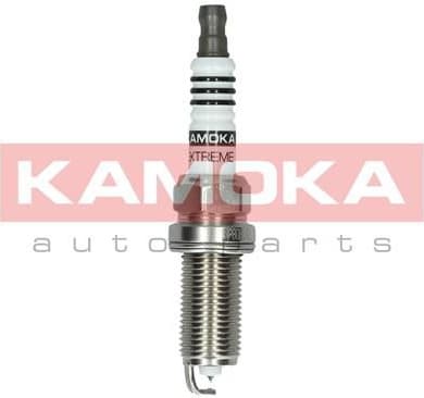Spark Plug 7100055