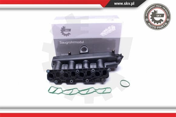 Intake Manifold Module 49SKV038