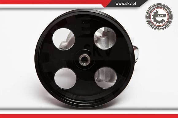 Hydraulic Pump, steering 10SKV002