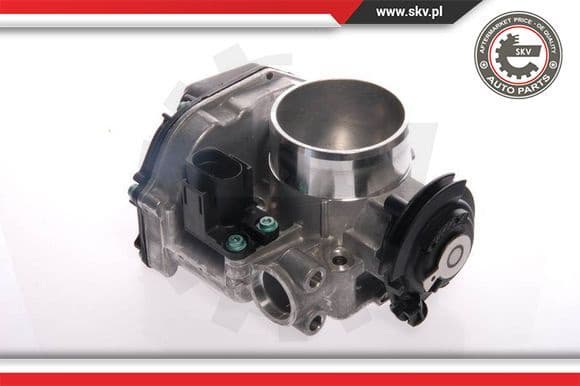 Throttle Body 12SKV019