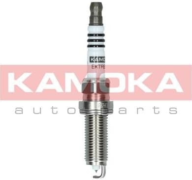 Spark plug 7100053
