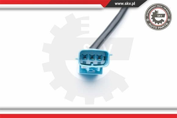 Oxygen Sensor 09SKV722