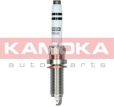 Spark Plug 7100038