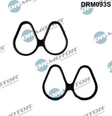 Gasket Set, intake manifold DRM093S