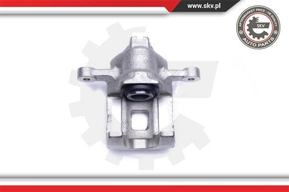 Brake Caliper 42SKV464
