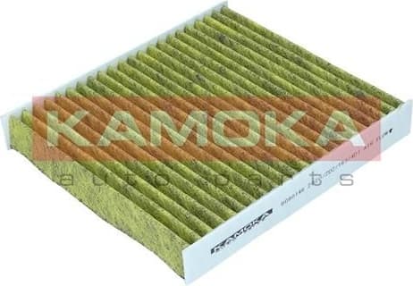 Filter, cabin air 6080146