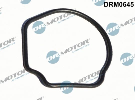 Gasket, thermostat housing DRM0645