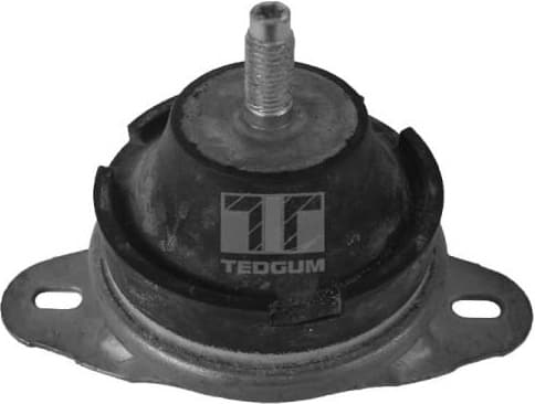 Mounting, engine 00514176