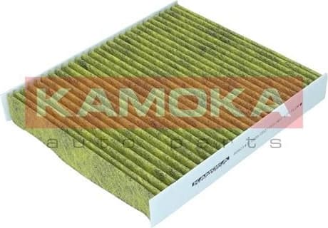 Filter, cabin air 6080143