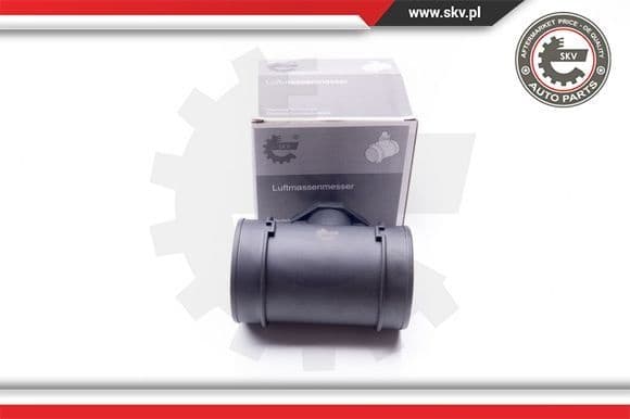 Mass Air Flow Sensor 07SKV028