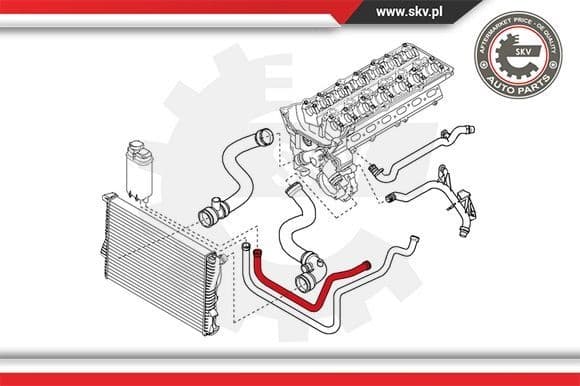 Radiator Hose 24SKV278 - image 4