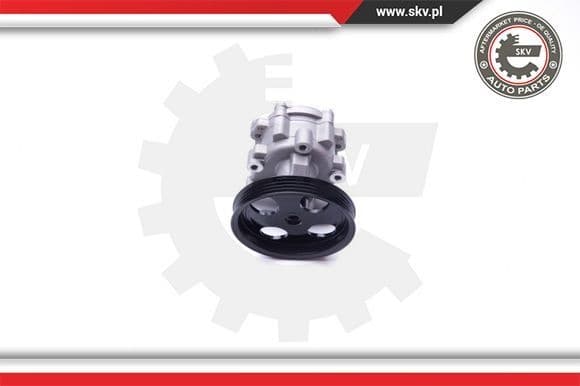 Hydraulic Pump, steering 10SKV251