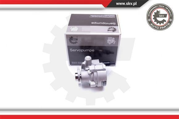Hydraulic Pump, steering 10SKV008