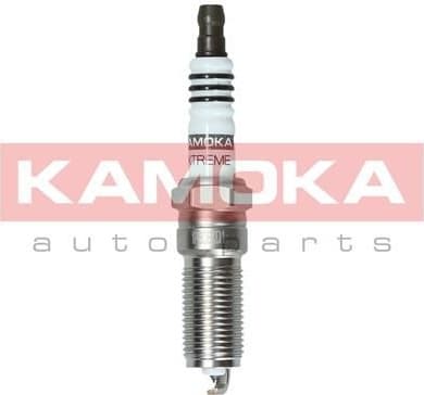 Spark Plug 7100025