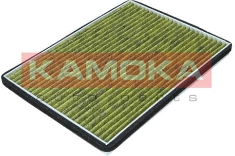 Filter, cabin air 6080167