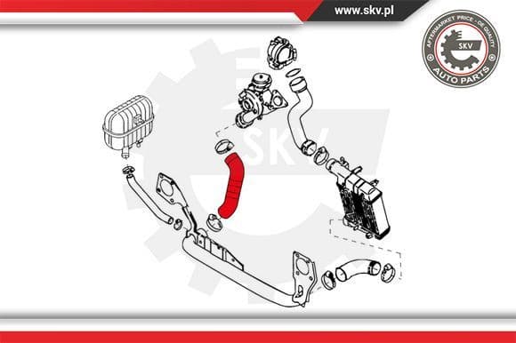 Charge Air Hose 24SKV113 - image 4