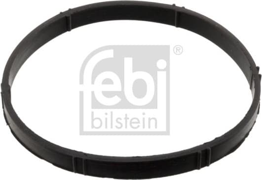 Seal Ring, throttle body 106506