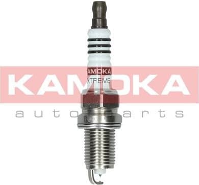 Spark Plug 7100044