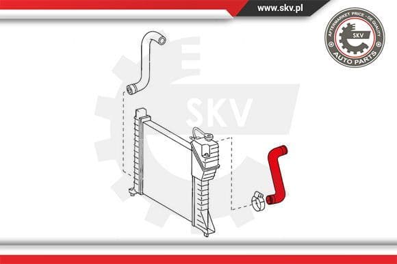 Radiator Hose 24SKV343