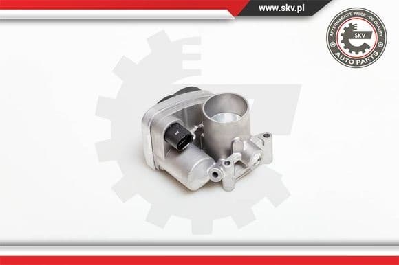 Throttle Body 12SKV030