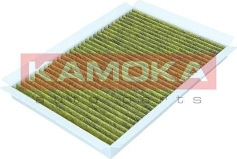 Filter, cabin air 6080142