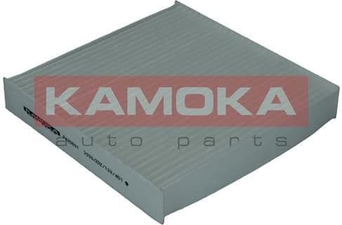 Filter, cabin air F420601 - image 2