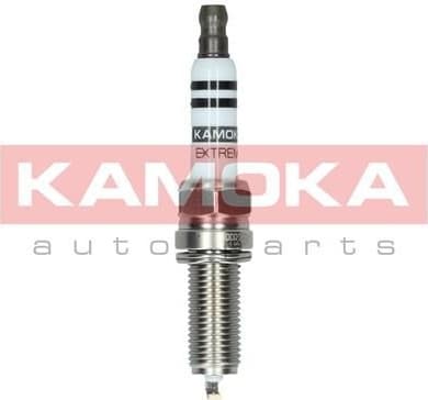 Spark plug 7090019
